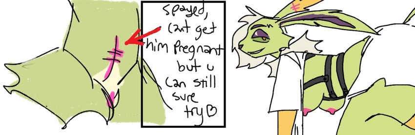 anthro breasts female fur genitals green_body green_fur nipples pussy smile solo spayed sterilized stitch_(sewing) text guncht nintendo pokemon eeveelution generation_1_pokemon jolteon pokemon_(species) english_text trans_(lore) trans_man_(lore)