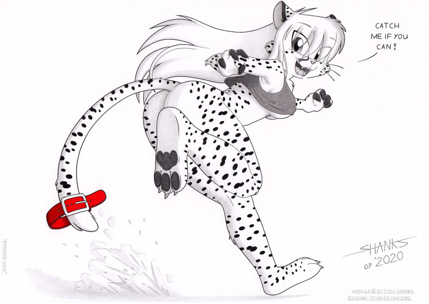 3_toes anthro barefoot black_pawpads bottomless breasts butt claws clothed clothing fangs feet female no_underwear open_mouth pawpads paws plantigrade soles solo teeth toes under_boob tirashanks_(artist) vanilla_(tirashanks) cheetah felid feline mammal