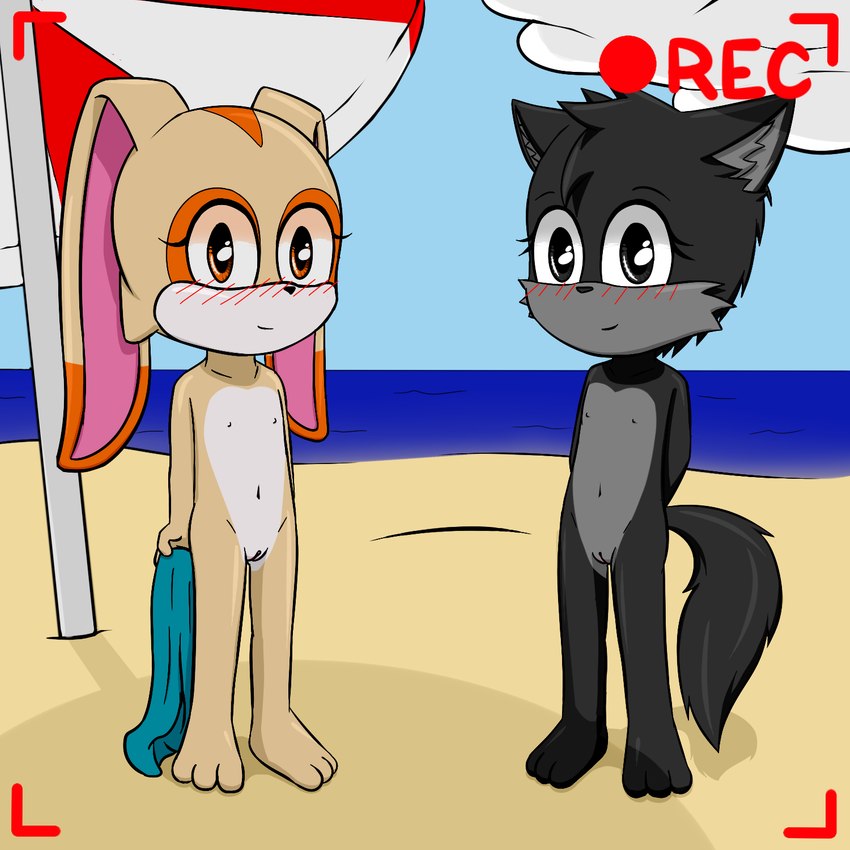 anthro beach blush clitoris duo female flat_chested genitals humanoid_genitalia humanoid_pussy looking_at_viewer nipples nude plantigrade pussy seaside young young_anthro techboy1423 sega sonic_the_hedgehog_(series) cream_the_rabbit canid canine fox lagomorph leporid mammal rabbit 1:1 hi_res