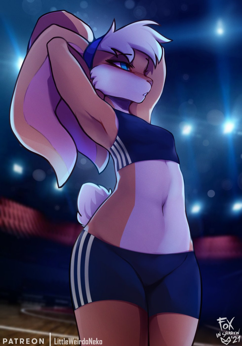 lola bunny (warner brothers and etc) created by foxinshadow
