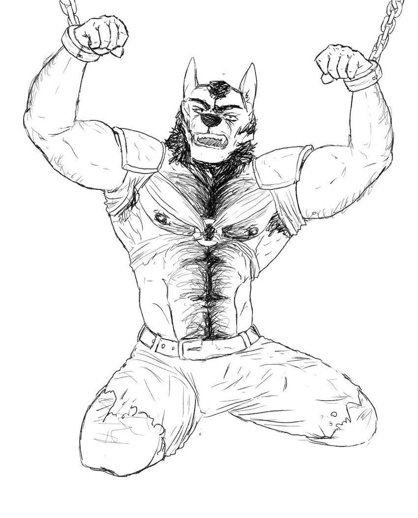 anthro body_hair bound captured clothed clothing hairy male muscular rope solo simonsbathtub alex_nightmurr canid canine canis mammal wolf hi_res monochrome sketch story story_in_description