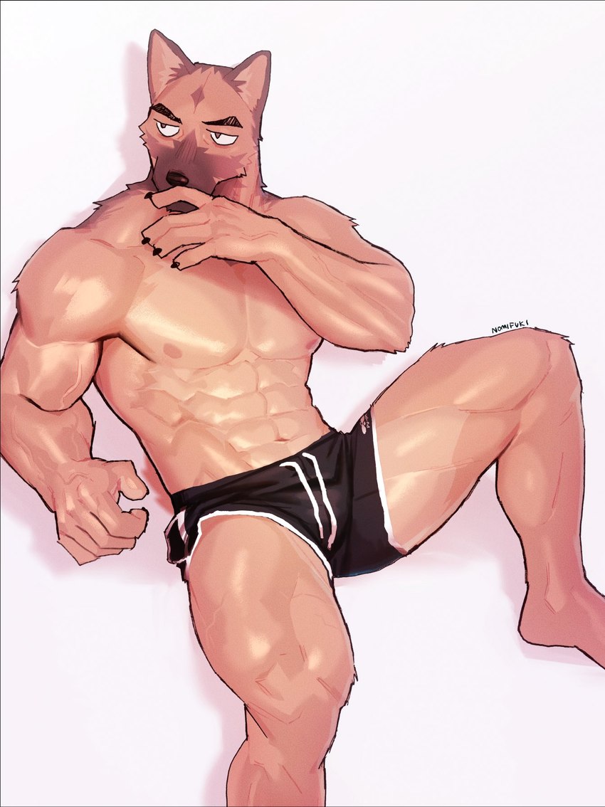 abs anthro bulge claws clothed clothing looking_away male muscular muscular_anthro muscular_male nipples pecs shorts_only shy sitting solo topless underwear underwear_only nomifuki canid canine canis domestic_dog mammal hi_res