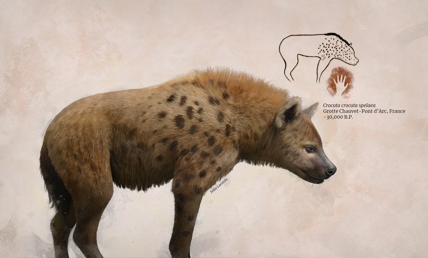 ambiguous_gender brown_body brown_fur cave_painting feral fur quadruped realistic scientific_name solo tail julio_lacerda cave_hyena hyena mammal prehistoric_species spotted_hyena hi_res