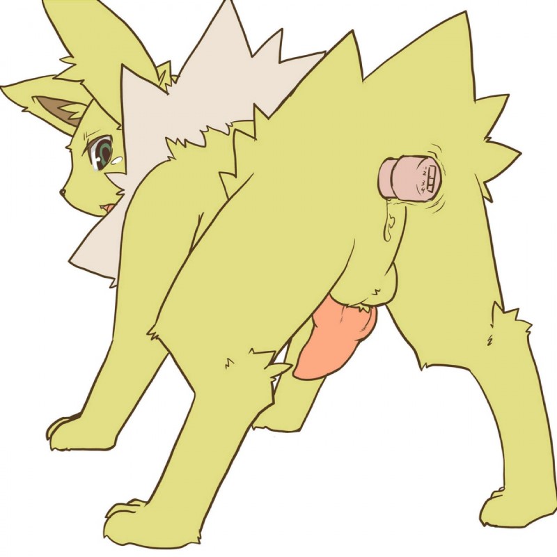 all_fours animal_genitalia animal_penis anus backsack balls canine_genitalia canine_penis erection feet feral genitals knot knotted_penis male nude penis sex_toy sheath solo vibrator yellow_anus yellow_balls yellow_sheath kosian nintendo pokemon eeveelution generation_1_pokemon jolteon pokemon_(species) 1:1 hi_res