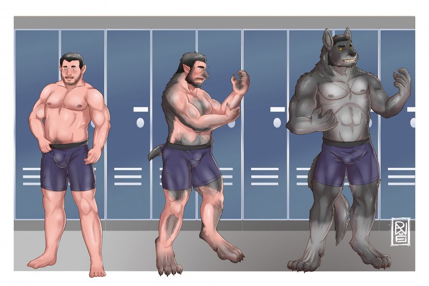 4_toes 5_fingers 5_toes abs admiring_self after_transformation anthro arm_grab athletic athletic_anthro athletic_male barefoot base_one_layout becoming_erect biceps black_hair black_nose black_sclera bodily_fluids body_size_growth border boxers_(clothing) boxers_only broad_shoulders brown_claws brown_nipples bulge calf_muscles cheek_tuft chin_tuft claw_growth claws clothed clothing countershading curled_fingers deltoids detailed_bulge dewclaw digitigrade erection erection_in_underwear erection_under_clothing eye_color_transformation facial_tuft fangs feet finger_claws fingers fluffy fluffy_tail fur fur_growth fur_hair genital_outline grabbing_own_arm grey_body grey_fur grey_nipples growth hair happy human_to_anthro humanoid_feet imminent_transformation inner_ear_fluff inside leg_markings locker locker_room logo looking_at_own_hands male markings mid_transformation motion_lines multicolored_body multicolored_fur muscle_growth muscular muscular_anthro muscular_male nipples open_mouth paws pecs penis_outline plantigrade plantigrade_to_digitigrade pubes quads serratus sharp_teeth shocked size_transformation smile snout snout_growth socks_(marking) solo species_transformation standing stubble surprised sweat tail tail_growth teeth thumb_in_waistband tight_clothing toe_claws toes tongue toothy_smile topless transformation transformation_sequence triceps tuft two_tone_body two_tone_fur underwear underwear_only vein veiny_arms whisker_spots white_border wide_eyed yellow_eyes oldwerewolf mythology canid canine human mammal mythological_canine mythological_creature werecanid werecanine werecreature werewolf 2023 artist_logo hi_res sequence shaded