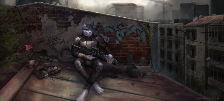 4_toes 5_fingers ammo_box ammunition anthro bandage bandaged_arm blood bodily_fluids clothed clothing crossed_legs detailed_background feet fingers flower fur g36 graffiti grey_body grey_fur gun holding_gun holding_object holding_ranged_weapon holding_weapon male medical_instrument plant plant_pot potted_plant ranged_weapon rooftop scientific_instrument sitting solo text toes weapon whiskers wolnir domestic_cat felid feline felis mammal 2021 digital_media_(artwork) english_text hi_res watermark