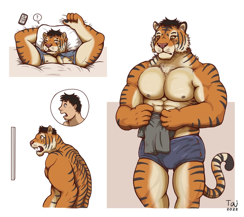 abs after_transformation anthro black_hair cellphone clothing countershade_hands countershading electronics front_view fur growth hair human_to_anthro looking_at_object male muscular muscular_anthro muscular_male nipples orange_body orange_fur pawpads phone question_mark realization sharp_teeth shirt shocked side_view simple_background smartphone solo species_transformation striped_body stripes teeth topwear torn_clothing torn_shirt torn_topwear transformation unaware_transformation waking_up white_background taitora chinese_zodiac year_of_the_tiger felid mammal pantherine tiger 2022 hi_res