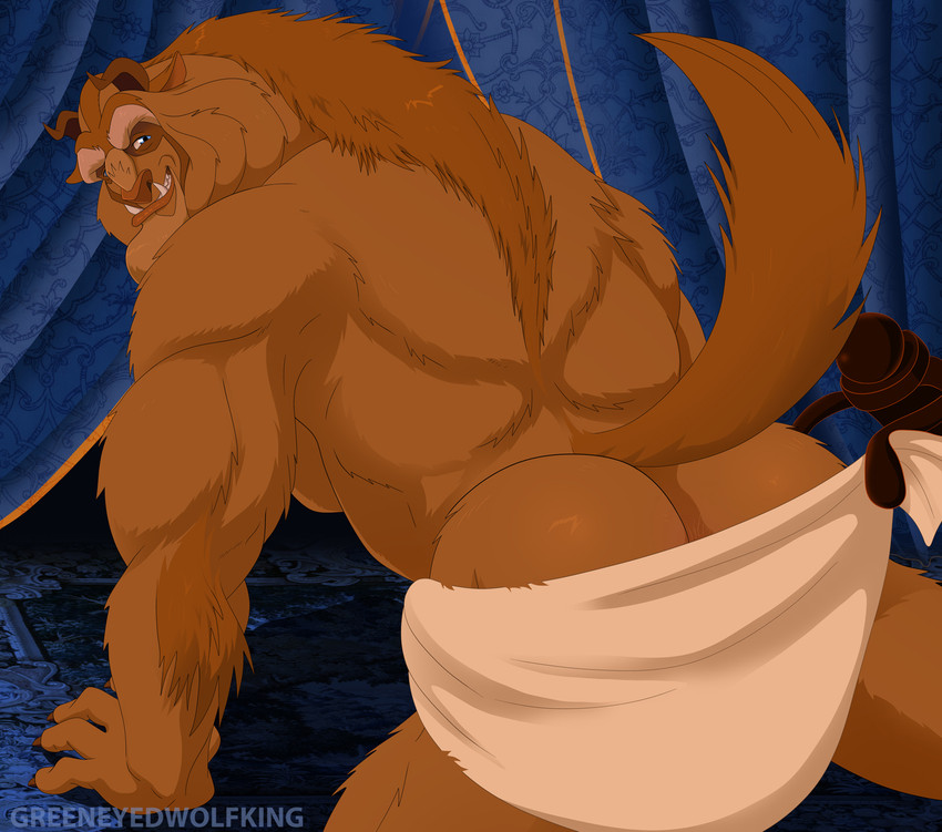 all_fours anthro blue_eyes brown_body brown_fur butt butt_polish carpet curtains drying drying_fur fur looking_at_viewer looking_back male muscular muscular_anthro muscular_male raised_tail solo tail towel greeneyedwolfking beauty_and_the_beast disney beast_(disney) mammal monster hi_res