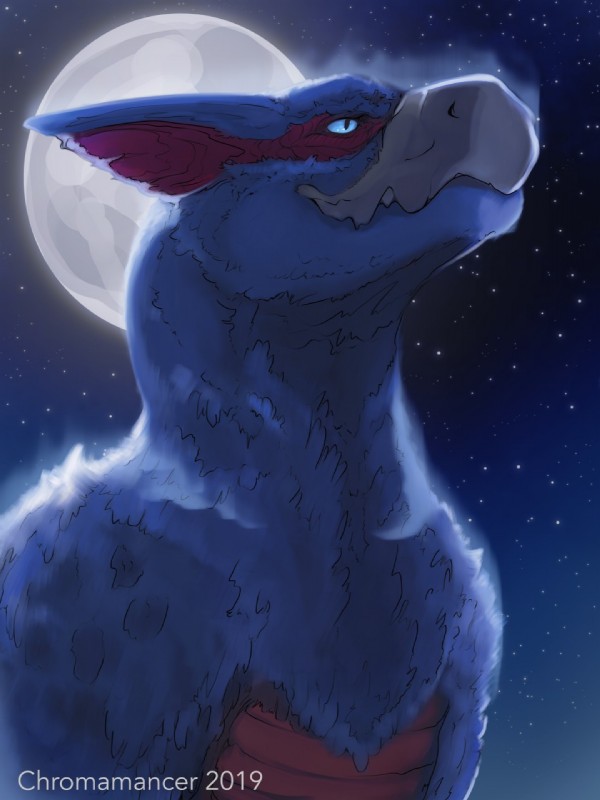 ambiguous_gender blue_eyes detailed_background feral night outside sky solo star starry_sky chromamancer capcom monster_hunter inq flying_wyvern nargacuga 2019 3:4 digital_media_(artwork) hi_res