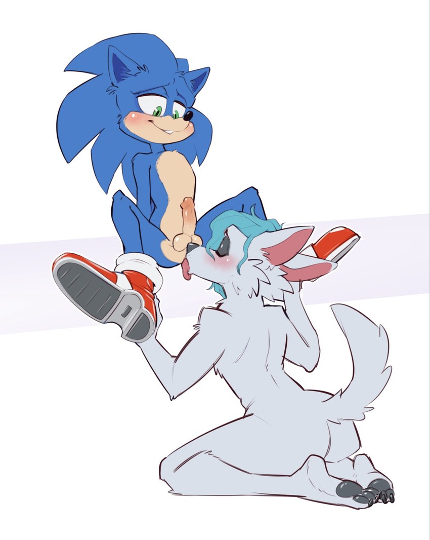 anal anthro balls_on_nose blue_body blue_fur blue_hair blush clothing duo footwear fur green_eyes hair holding_leg male male/male oral rimming sex spread_legs spreading 4pcsset sega sonic_the_hedgehog_(film) sonic_the_hedgehog_(series) raaf_helder_(character) sonic_the_hedgehog arctic_wolf canid canine canis eulipotyphlan hedgehog mammal wolf hi_res