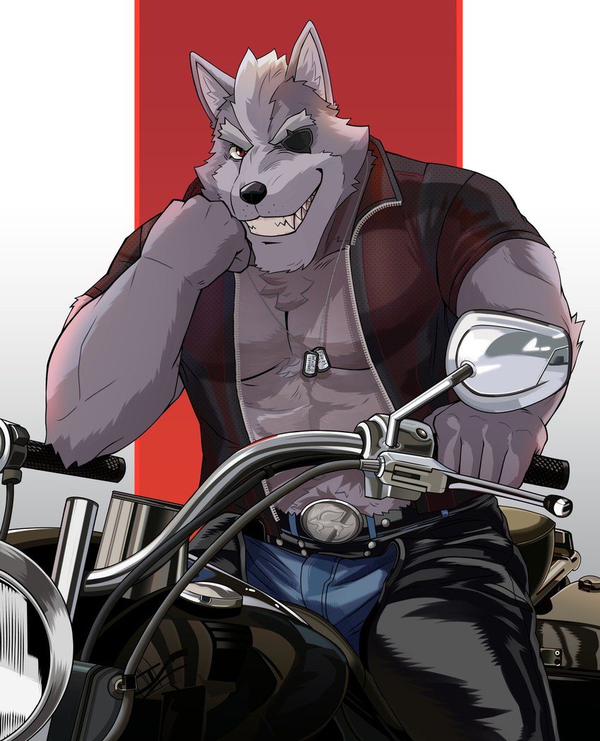 wolf o'donnell (nintendo and etc) created by naikuma