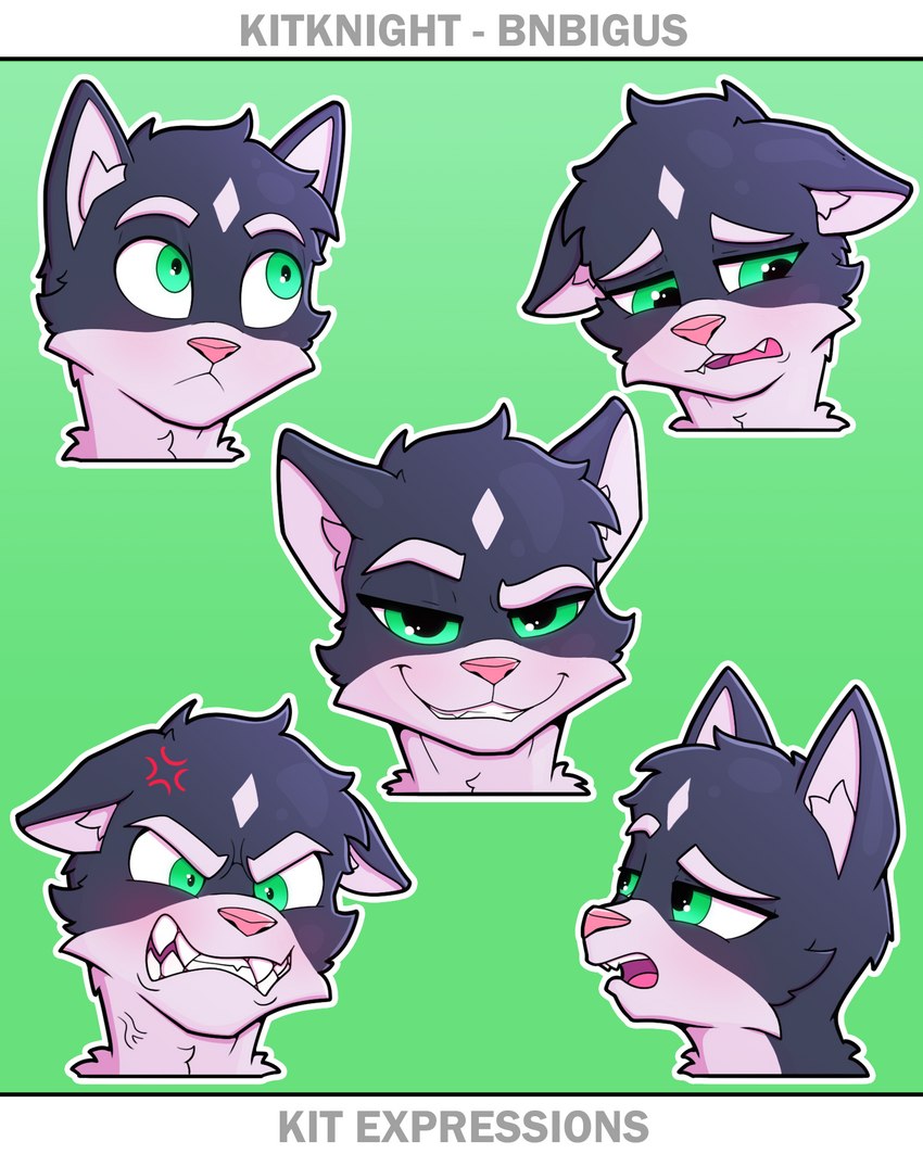 angry anthro chest_tuft eyebrows eyelashes fur green_eyes hair male pupils sharp_teeth smile smug solo teeth text thick_eyebrows tuft white_hair bnbigus kitknight kit_(bnbigus) felid feline mammal 2023 4:5 digital_media_(artwork) english_text hi_res letterbox model_sheet