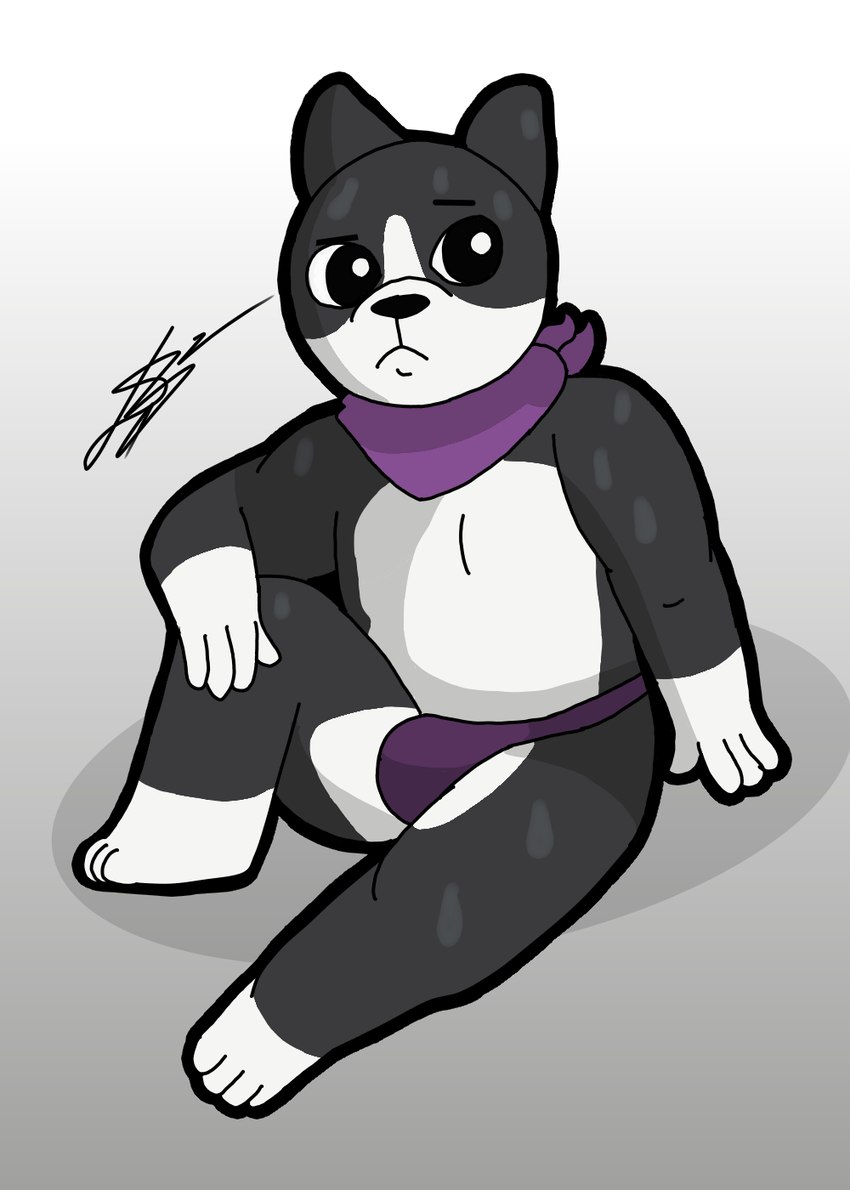 4_fingers anthro arm_on_knee black_body black_ears black_fur black_nose bodily_fluids clothing eyebrows fingers fur looking_away male multicolored_body multicolored_fur purple_clothing purple_scarf raised_eyebrow scarf sitting sitting_on_ground slightly_chubby solo sweat two_tone_body two_tone_fur white_body white_fur d13w0tt_(artist) dogs_in_space netflix atlas_(dogs_in_space) boston_terrier canid canine canis domestic_dog hunting_dog mammal molosser small_molosser terrier toy_dog hi_res