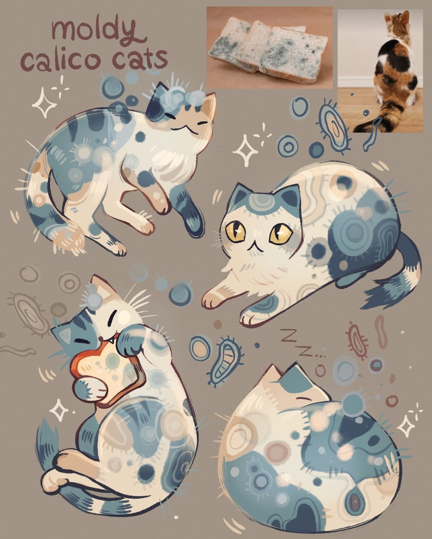 ambiguous_gender bread eating eating_food feral food fungus group mold_(fungus) paws pupils slit_pupils tail whiskers feefal calico_cat domestic_cat elemental_creature felid feline felis fungi_fauna mammal hi_res
