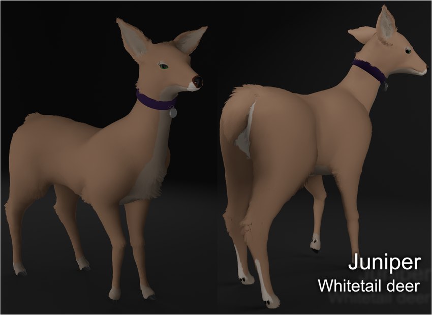 big_ears border brown_body brown_fur collar collar_only female feral fur green_eyes looking_at_viewer looking_back nude solo white_border doriyote blender_eevee juniper_(laserkitten) deer mammal new_world_deer white-tailed_deer 3d_(artwork) blender_(artwork) digital_media_(artwork) hi_res