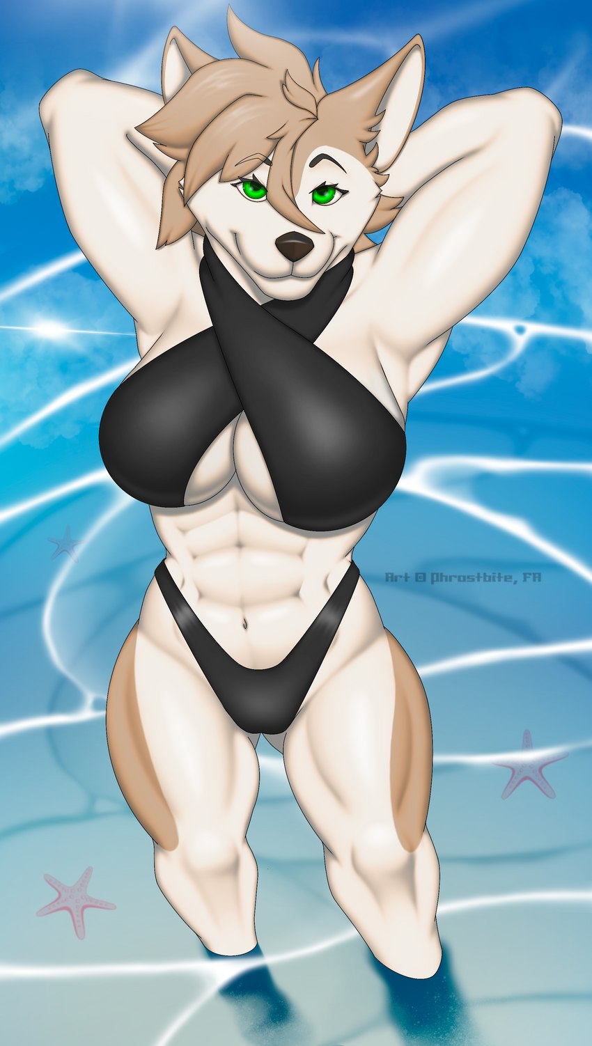 abs anthro big_breasts bikini black_nose breasts butt butt_from_the_front clothing cloud female flexing foot_in_water fur green_eyes hair hands_behind_head inner_boob light looking_at_viewer looking_up looking_up_at_viewer messy_hair muscular muscular_arms muscular_female muscular_thighs sand sea shallow_water short_hair smile solo standing sunlight swimwear tan_body tan_fur two-piece_swimsuit water white_body white_fur white_inner_ear phrostbite hatter_da_husky ambient_sealife ambient_starfish asterozoan canid canine canis domestic_dog echinoderm husky mammal marine nordic_sled_dog spitz 2022 absurd_res hi_res signature watermark