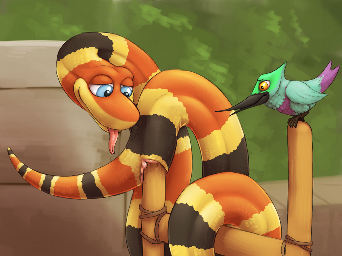 Snake sex game Snake sex game