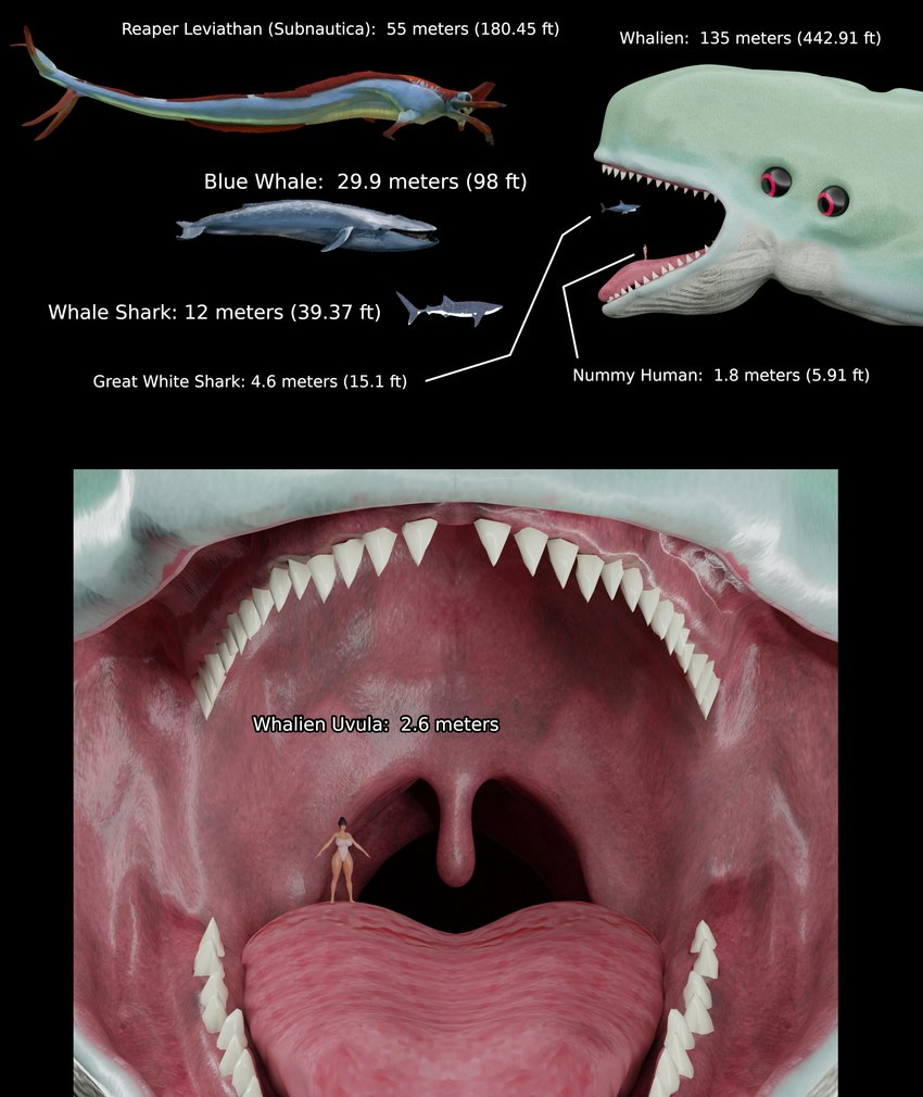 ambiguous_gender chart comparing female feral group size_chart size_difference text uvula vore mike37 subnautica unknown_worlds_entertainment baleen_whale cetacean fish great_white_shark human mackerel_shark mammal marine reaper_leviathan_(subnautica) shark whale whalien white_shark absurd_res english_text hi_res