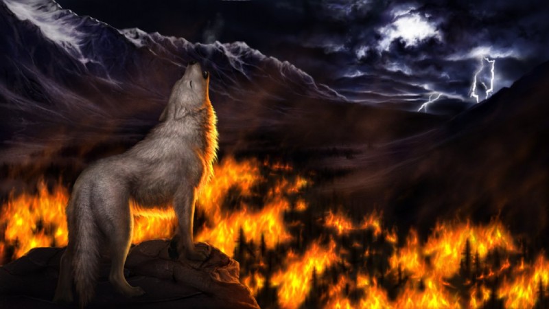 ambiguous_gender burn cloud digitigrade electricity feral fire forest lightning mountain night outside overcast plant quadruped scenery_porn sky solo storm tail tree jocarra canid canine canis mammal wolf 16:9 widescreen