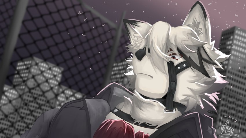 anthro black_clothing black_topwear building butler city clothing detailed_background fur harness inner_ear_fluff male metal_fence muzzle_(object) night sky skyscraper solo star starry_sky topwear tuft white_body white_fur cpaslocl mihoyo zenless_zone_zero von_lycaon canid canine canis mammal wolf 16:9 2022 bust_portrait hi_res portrait signature watermark widescreen