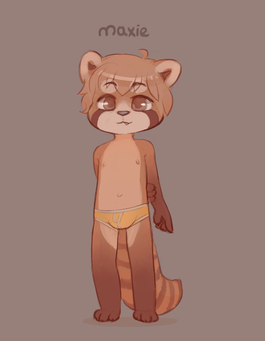 4_fingers anthro belly biped brown_body brown_eyes brown_fur clothed clothing fingers fur hand_behind_back looking_at_viewer male nipples paws solo standing topless underwear underwear_only white_belly young young_anthro young_male skidoo max_(skidoo) ailurid mammal red_panda hi_res