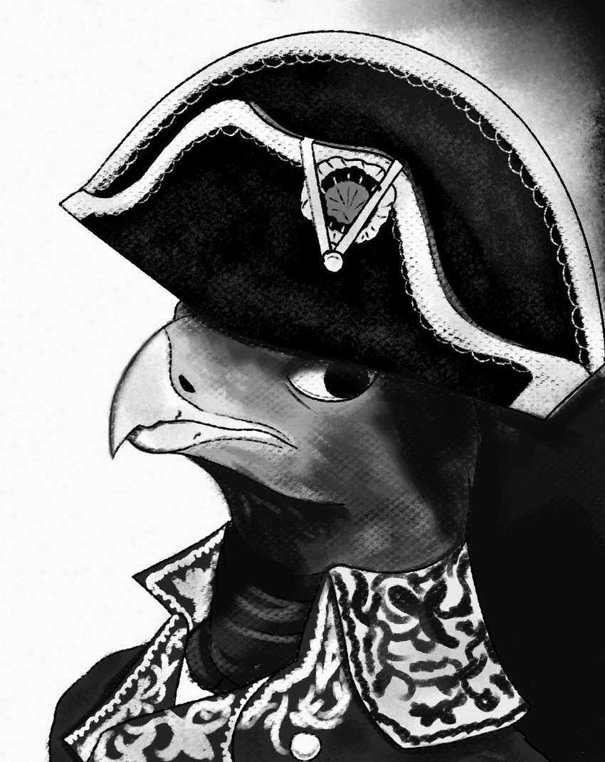 2_horns anterior_nasal_aperture anthro beak clothed clothing french hat headgear headwear history horn male napoleonic pupils simple_background solo wearing_hat white_sclera leprzil accipitrid accipitriform avian bicorn bird eagle equid equine mammal 2023 digital_media_(artwork) hi_res