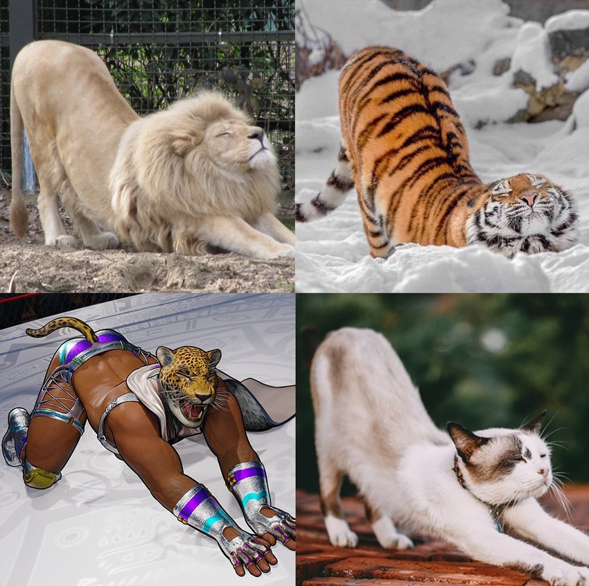 ass_up butt eyes_closed fangs fighting_ring for_a_head male muscular muscular_male open_mouth real realistic_lighting realistic_shading stretching teeth whiskers wrestling_outfit litoperezito tekken king_(tekken) animal_head animal_humanoid domestic_cat felid felid_humanoid feline felis humanoid jaguar jaguar_humanoid lion mammal mammal_humanoid pantherine pantherine_humanoid tiger 2024 3d_(artwork) digital_media_(artwork) photography_(artwork) reference_image