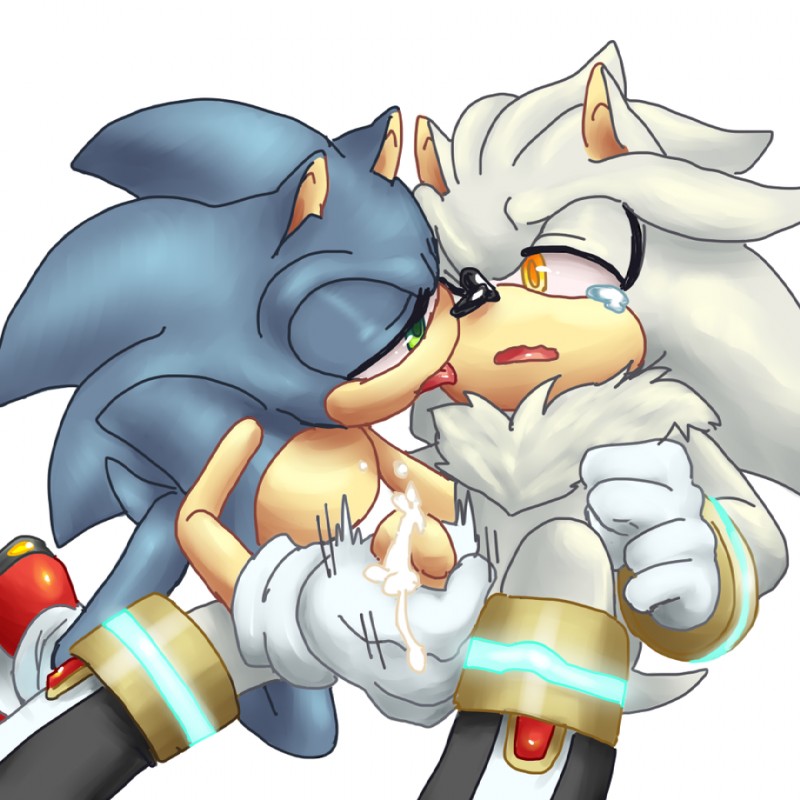 silver the hedgehog and sonic the hedgehog (sonic the hedgehog (series) and etc) created by orba