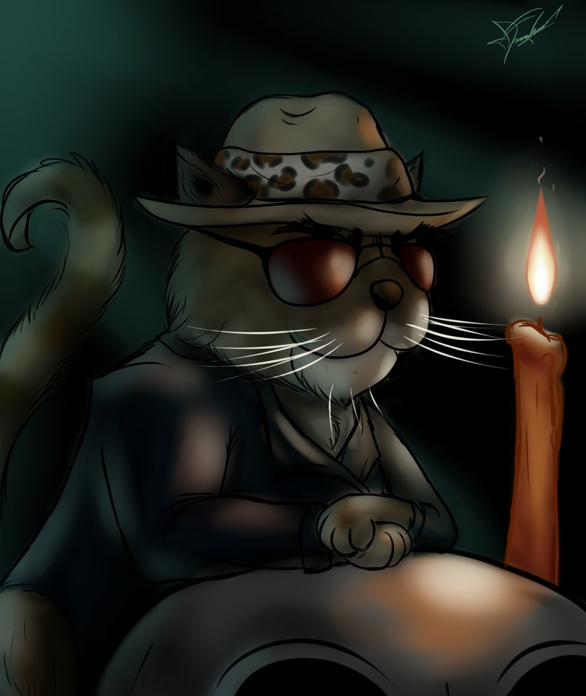 bleak_ambiance bone brown_hair candle clothing eyewear feral hair hat headgear headwear jacket leather leather_clothing leather_jacket leather_topwear male skull skull_head solo sunglasses topwear whiskers deathsrose1996 dross_rotzank domestic_cat felid felidae feline felis mammal hi_res