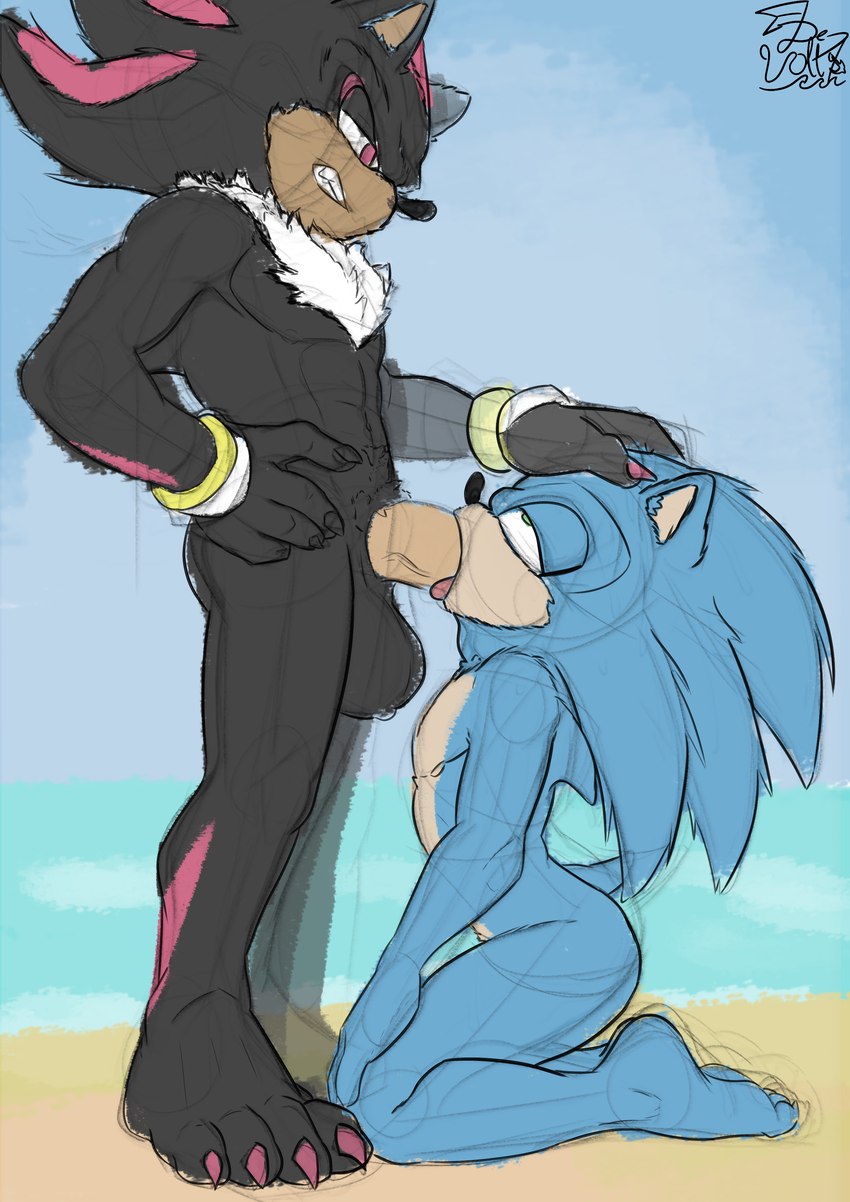 4_toes angry anthro balls beach big_balls big_feet big_penis big_toes black_body black_fur black_skin blue_body blue_fur blue_skin butt claws duo duo_focus eye_roll feet fellatio femboy forced forced_fellatio fur genitals gold_ring gold_rings golden_ring grabbing_head green_eyes group huge_balls humanoid_feet looking_pleasured male male/male masturbation muscular muscular_anthro muscular_male nude oral oral_masturbation oral_penetration paws penetration penile penile_masturbation penis pink_claws pink_eyes pink_stripes plantigrade rape sand sea sex sky soles solo stripes submissive submissive_male toe_claws toes water de_volt sega sonic_the_hedgehog_(series) shadow_the_hedgehog sonic_the_hedgehog eulipotyphlan hedgehog mammal absurd_res hi_res