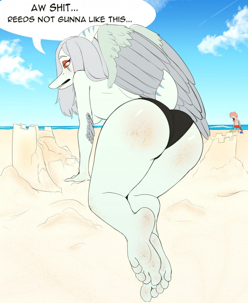 5_toes amber_eyes anthro arm_feathers beach bikini bikini_bottom black_bikini_bottom blue_body bone_frill bottomwear breasts butt butt_focus clothed clothing cloud detailed_background dialogue elbow_feathers feather_tuft feathered_wings feathers feet female frill_(anatomy) grey_body grey_feathers grey_hair hair humanoid_feet male narrowed_eyes open_mouth outside pink_body pink_hair plantigrade sand sea seaside short_tail shorts sky snout solo speech_bubble swimwear tail text toes topless topless_female tuft two-piece_swimsuit water wings huwon cavemanon_studios goodbye_volcano_high snoot_game fang_(gvh) reed_(gvh) dinosaur dromaeosaurid prehistoric_species pterodactylus pterosaur reptile scalie theropod velociraptor colored english_text hi_res nonbinary_(lore)