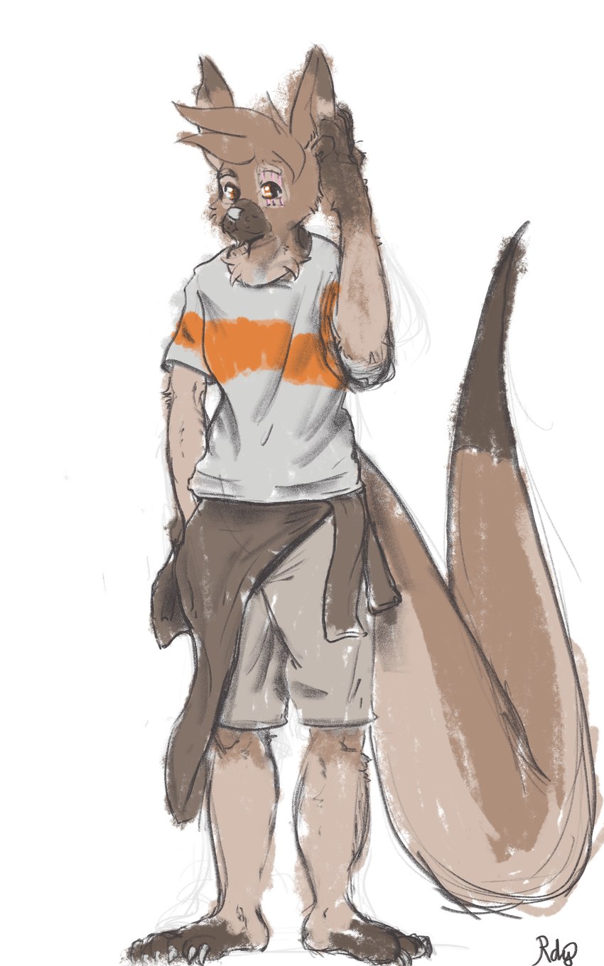 anthro bottomwear brown_body brown_fur brown_hair claws clothing double_claw eye_scar facial_scar fluffy fur hair hoodie male orange_eyes pawpads paws plantigrade scar shirt shorts t-shirt tail tan_body tan_fur topwear rdy zgf_art ra'zim gulonine hybrid kangaroo macropod mammal marsupial marten mustelid musteline sable_(marten) 2024 5:8 absurd_res hi_res