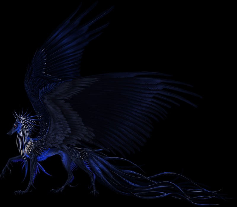 ambiguous_gender black_body black_feathers blue_body blue_feathers claws feathered_wings feathers feral simple_background solo standing transparent_background wings nukerooster feonix 2017 alpha_channel digital_media_(artwork) hi_res