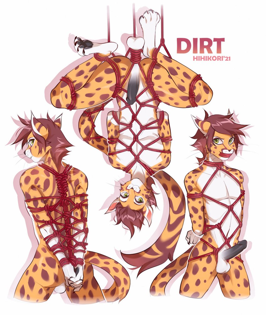 anthro ball_rope balls bound brown_hair eyebrows eyelashes gag gagged genital_rope genitals hair male nude penis rope solo tape tape_gag hihikori dirt_(mrdirt) cheetah felid feline mammal 2022 digital_media_(artwork) hi_res