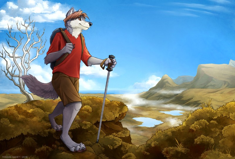 anthro backpack black_nose bottomwear brown_hair clothed clothing day dead_tree detailed_background fur grass grey_body grey_fur hair lake male outside plant shirt shorts sky solo t-shirt topwear tree blackteagan canid canine canis mammal wolf 2018 digital_media_(artwork)