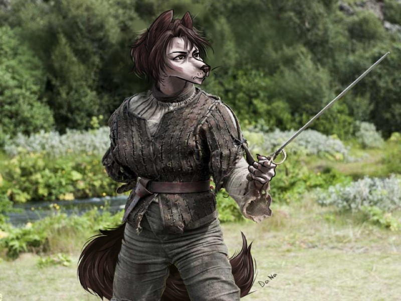 female fur solo danawolfin third-party_edit game_of_thrones arya_stark canid canine canis mammal wolf 4:3 photo_manipulation