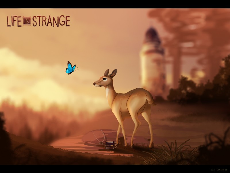 life is strange created by kitchiki