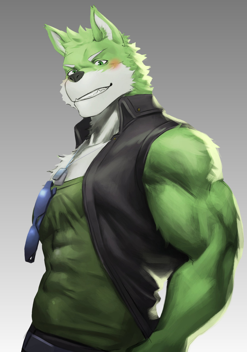 anthro blush clothed clothing dog_tags eyewear fur gradient_background green_body green_clothing green_eyes green_fur green_shirt green_topwear grin male muscular muscular_anthro muscular_male shirt simple_background smile solo sunglasses topwear vest tokuni lifewonders live_a_hero wolf_villain_(live_a_hero) canid canine canis mammal wolf absurd_res hi_res