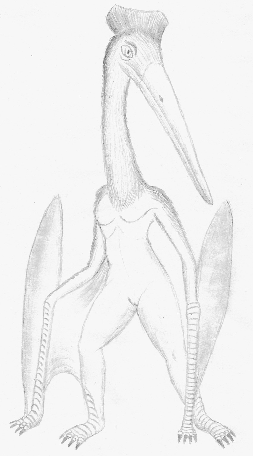 anthro arm_hair beak body_hair bottomless claws clothed clothing female flat_chested fur genitals membrane_(anatomy) membranous_wings nude pussy scuted_arms scutes simple_background solo thigh_gap topless topless_female white_background winged_arms wings ebrithilbowser archosaur azhdarchid humanoid prehistoric_species pterosaur pterosaur_humanoid reptile scalie absurd_res hi_res monochrome sketch