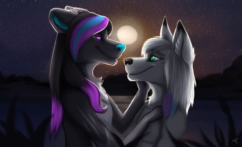 anthro black_hair duo female femboy hair highlights_(coloring) light looking_at_another male male/female moon moonlight sky smile star starry_sky rudzik sonja_wusky canid canine canis hybrid mammal wolf wolfdog