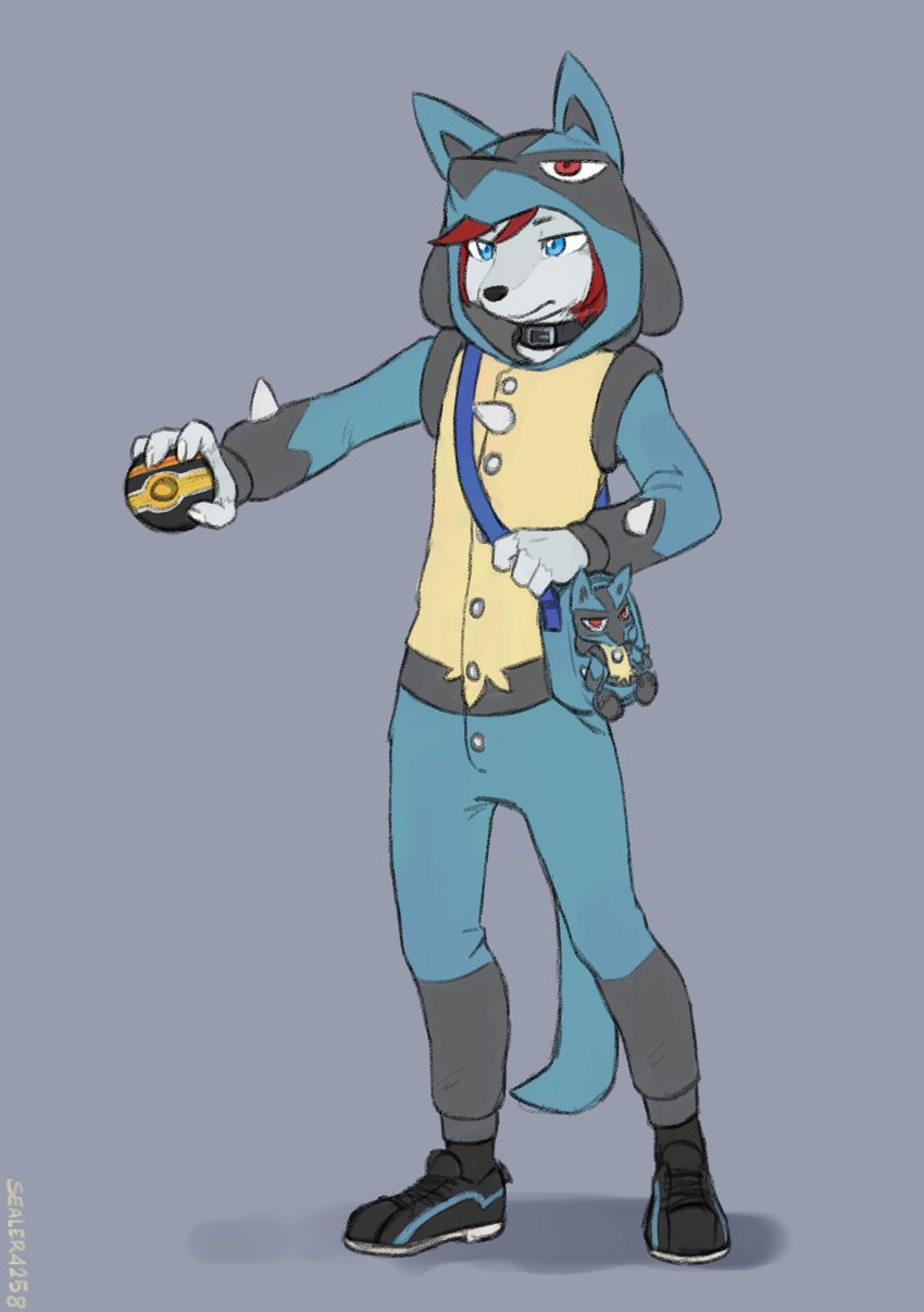 4_fingers anthro blue_eyes clothed clothed_anthro clothed_male clothing collar fingers footwear front_view fur grey_body grey_fur hair holding_object kigurumi luxury_ball male onesie pokeball red_hair shoes simple_background solo standing sealer4258 nintendo pokemon lewin_(sealer4258) canid canine canis generation_4_pokemon lucario mammal pokemon_(species) wolf 2024 absurd_res digital_media_(artwork) hi_res