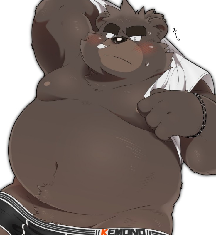 anthro belly blush brown_body brown_fur clothing fur male moobs overweight overweight_anthro overweight_male shirt simple_background solo topwear underwear white_background hinami shiro_to_kuro american_black_bear bear black_bear mammal ursine 2017