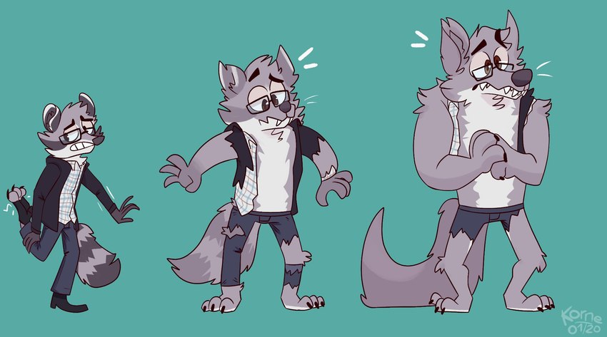 anthro clothing eyewear glasses male mid_transformation solo torn_clothing transformation transformation_sequence kornepheross mythology okietheraccoon canid canine canis mammal mythological_canine mythological_creature procyonid raccoon werecanid werecanine werecreature werewolf wolf hi_res