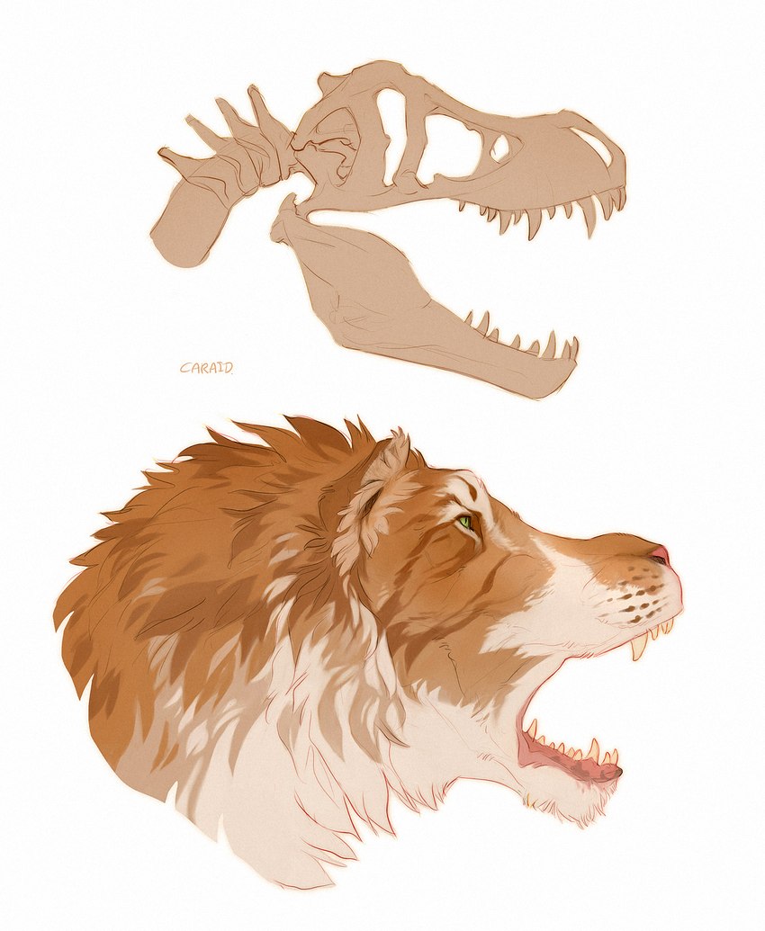 bone fur green_eyes open_mouth skull solo teeth caraid dinosaur prehistoric_species reptile scalie 2022 digital_media_(artwork) headshot_portrait hi_res portrait