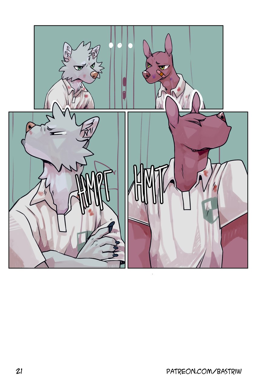 angry band-aid bandage clothing dialogue green_eyes hairless male school_uniform text uniform yellow_eyes young bastriw manu_(bastriw) nico_(bastriw) canid canine canis domestic_dog hairless_dog mammal primitive_dog wolf xoloitzcuintli 2:3 comic hi_res url