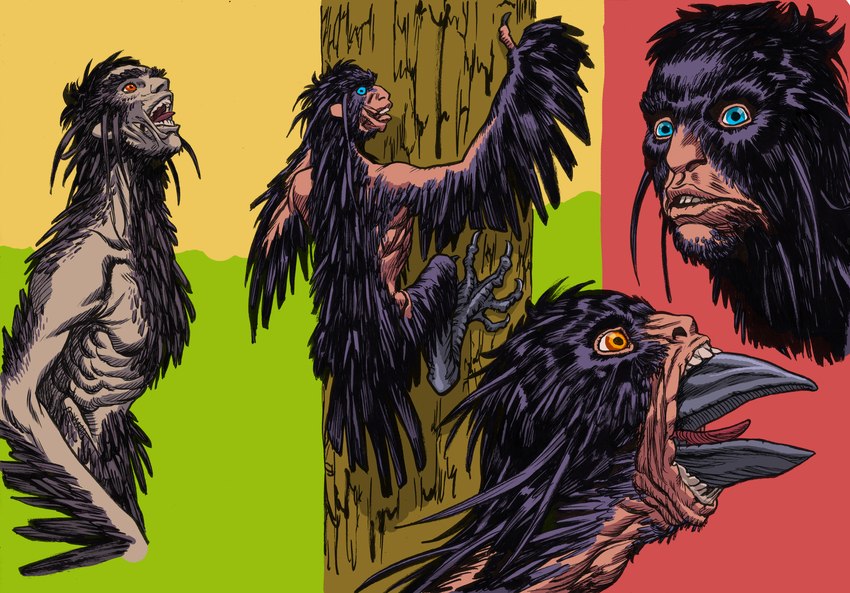 anthro avian_feet beak beak_growth black_body black_feathers blue_eyes body_horror claws climbing_tree feather_growth feathered_wings feathers feral growth looking_up male mid_transformation nude open_mouth orange_eyes plant solo tail tail_feathers teeth tongue transformation tree wings frederik_peeters the_animal_kingdom_(film) fix_(the_animal_kingdom) avian bird corvid corvus_(genus) crow human mammal oscine passerine absurd_res hi_res model_sheet