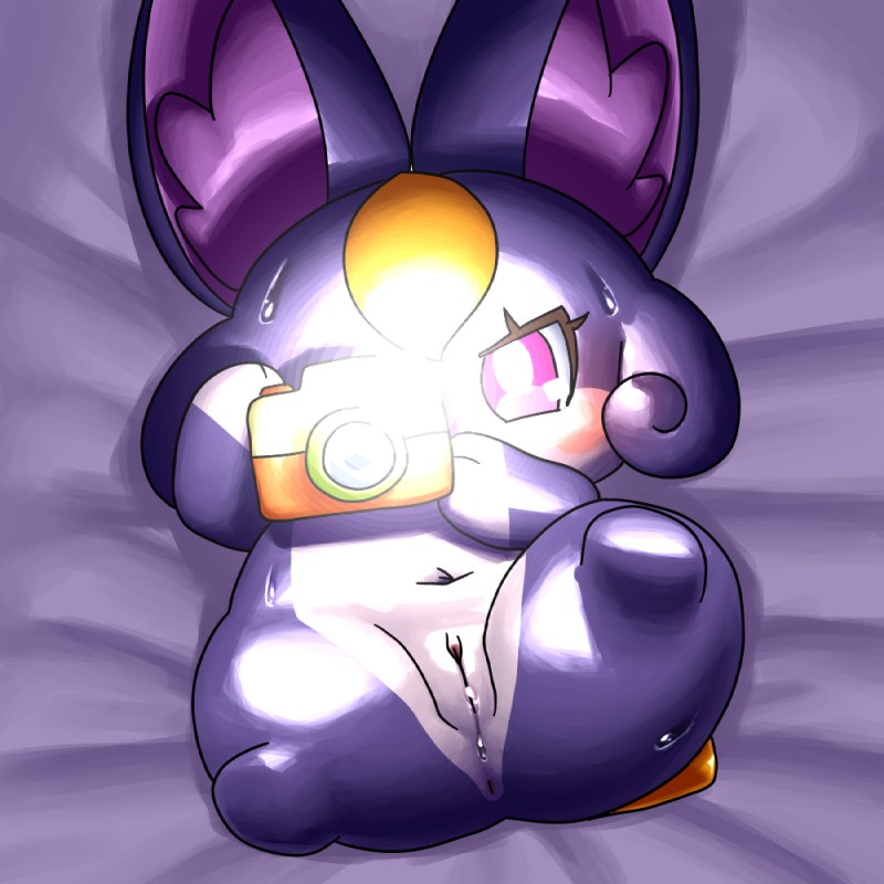 anthro anus big_ears camera eyelashes featureless_limbs female fur genitals light lying multicolored_body multicolored_fur nude on_back purple_body purple_eyes purple_fur pussy solo yellow_body yellow_fur kyuubi360 himitsu_no_cocotama hirake!_cocotama pashari cocotama 1:1 lighting