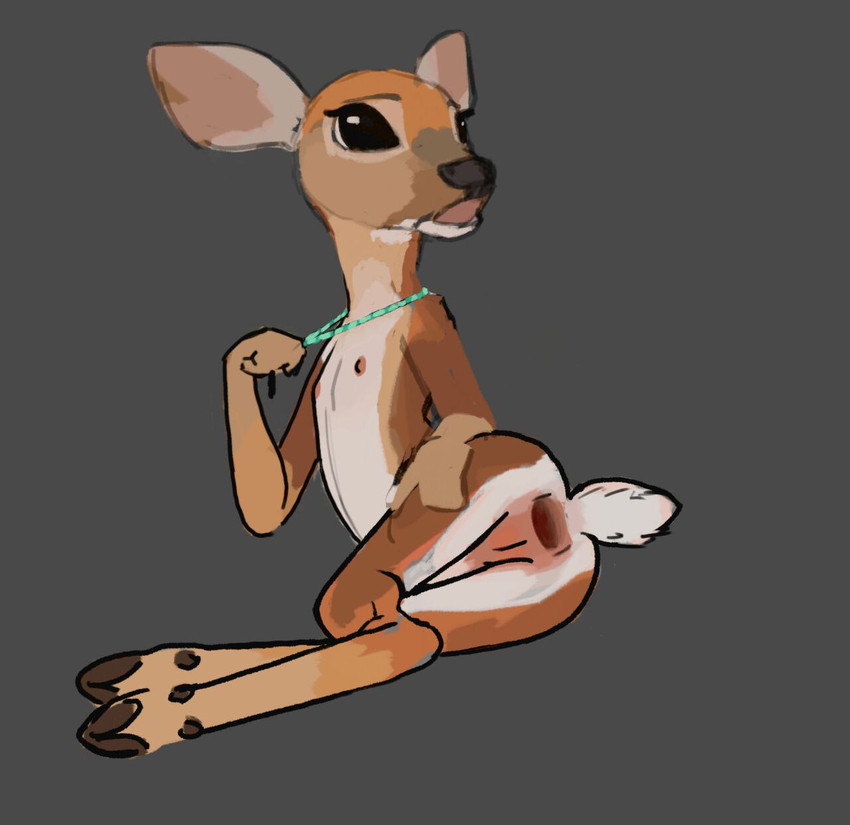 anthro anus butt female flat_chested gaping gaping_anus jewelry necklace solo tail young young_anthro southnorth deer mammal hi_res