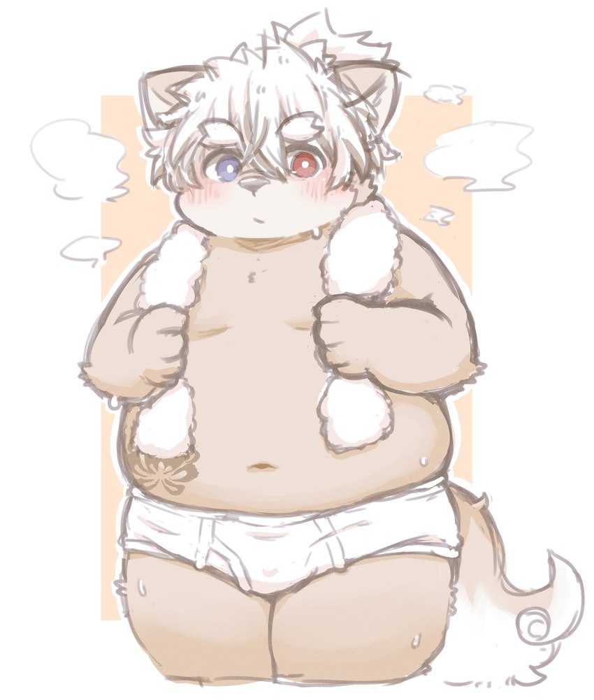 anthro belly blush briefs brown_body brown_fur bulge clothing eyebrows fur hair heterochromia male navel overweight overweight_male solo thick_eyebrows thick_thighs tighty_whities topknot towel underwear white_briefs white_clothing white_hair white_underwear young young_anthro one_oneyyy lifewonders tokyo_afterschool_summoners masashi_(tas) canid canine canis domestic_dog mammal absurd_res hi_res