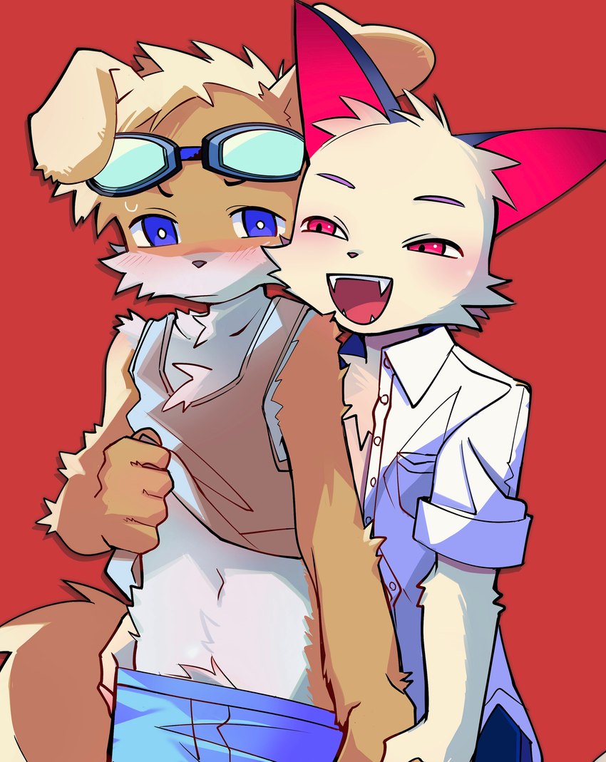 anthro autumn_kun_(bakeneko_sky) clothing duo embarrassed eyewear eyewear_on_head fangs floppy_ears goggles goggles_on_head male male/male midriff sagging_pants teeth undressing young young_male bakeneko_sky canid canine canis domestic_cat domestic_dog felid feline felis mammal absurd_res hi_res